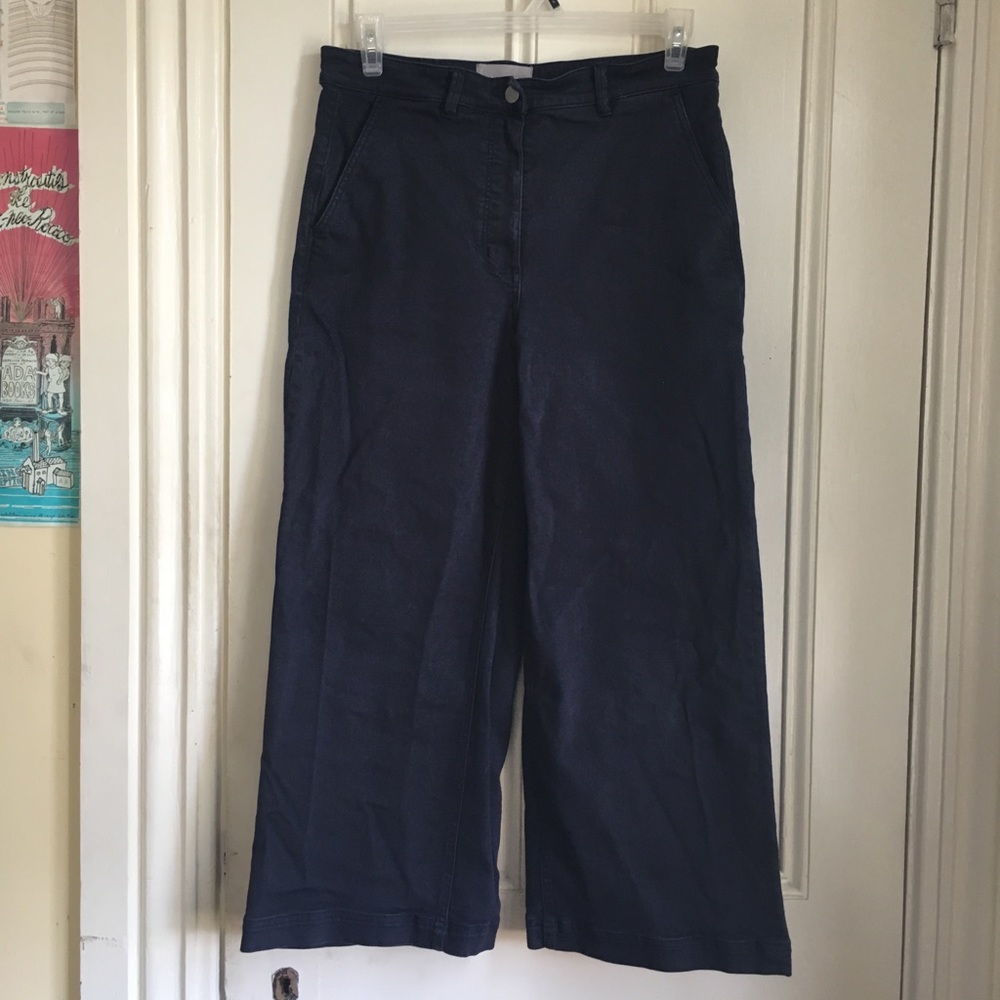 Everlane Cropped Wide Leg Pants